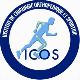 ICOS 13